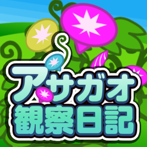 アサガオ観察日記